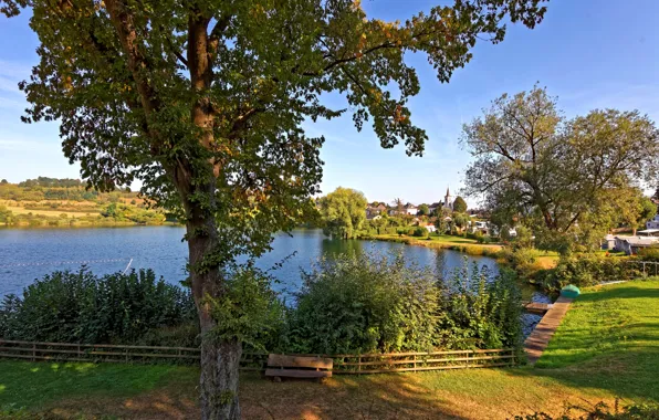 Picture trees, lake, shore, home, Germany, shop, Sunny, the bushes