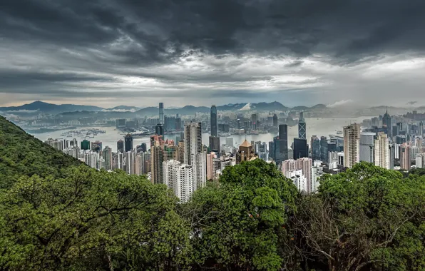 Landscape, the city, Hong Kong