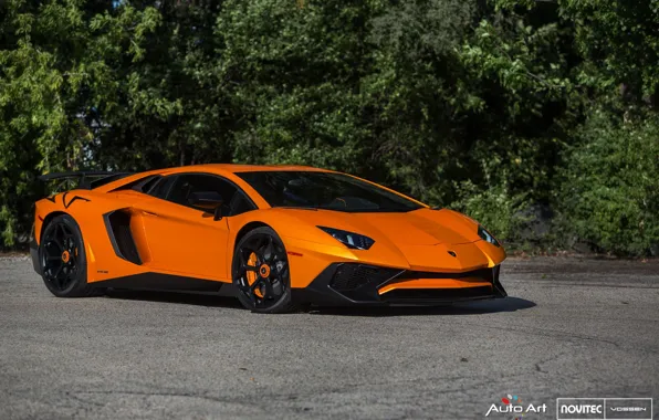 Picture Lamborghini, Black, Aventador, Vossen, Novitec, Gloss, NV-1