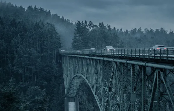 Picture auto, forest, the sky, landscape, clouds, bridge, nature, fog