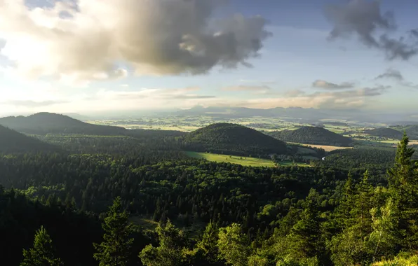 Greens, forest, the sky, clouds, trees, mountains, fog, hills
