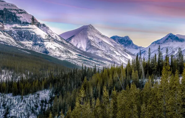 Landscape, mountains, beauty, the evening