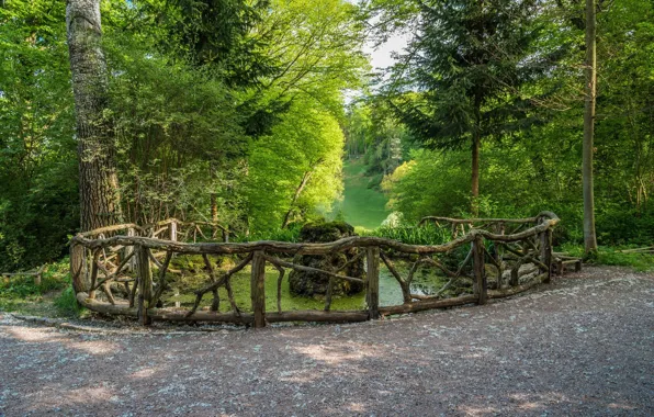 Greens, Nature, The fence