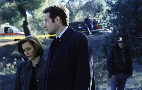 Picture the series, The X-Files, Fox, Classified material, given