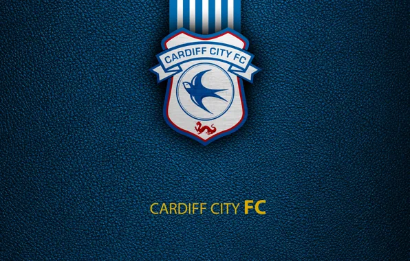 Sports Cardiff City F.C. HD Wallpaper