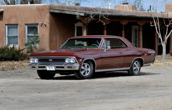Coupe, Chevrolet, Chevrolet, Coupe, 1966, Chevelle, Hardtop, SS 396