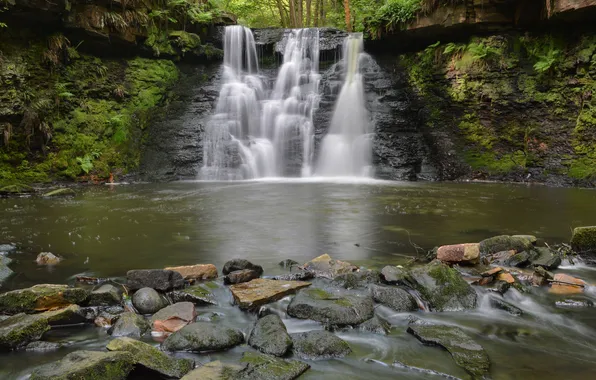 Forest, river, stones, waterfall
