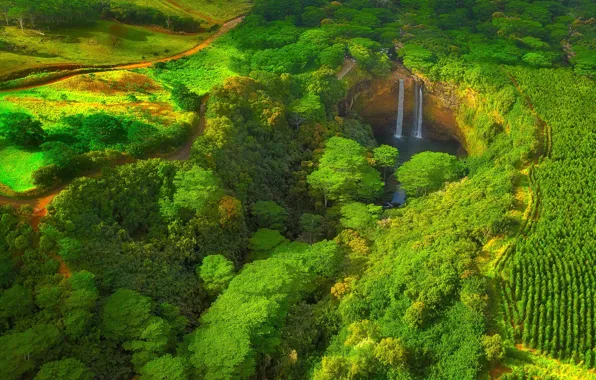 Trees, waterfall, Hawaii, USA