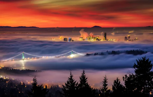 Picture winter, bridge, lights, fog, home, morning, Canada, British Columbia