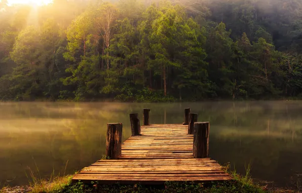 Forest, trees, lake, shore, pier