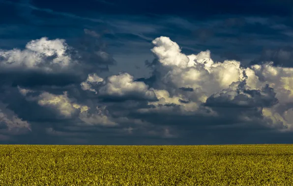 Picture field, the sky, clouds, horizon