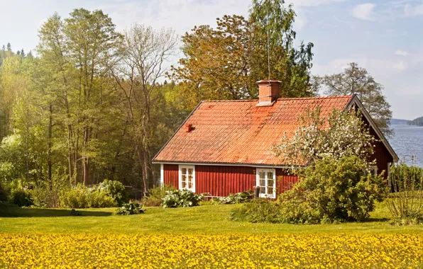 Greens, field, trees, flowers, comfort, house, tree, mood