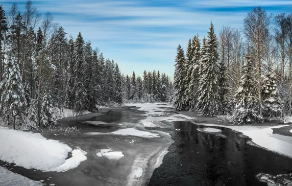 Picture winter, forest, river, Winter, river
