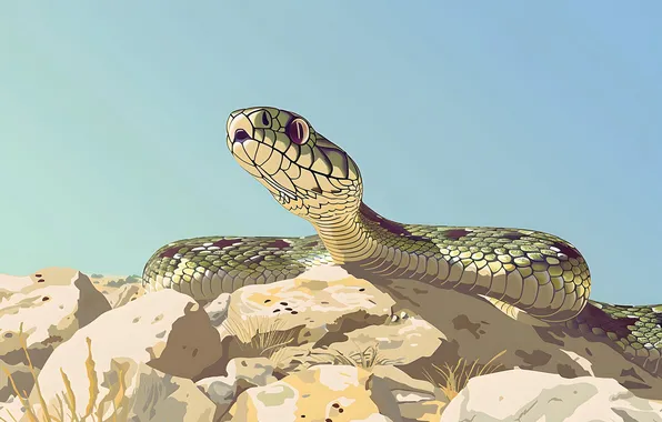 Snake, Stone, Face, Art, Reptile, Animal, Digital art, AI art