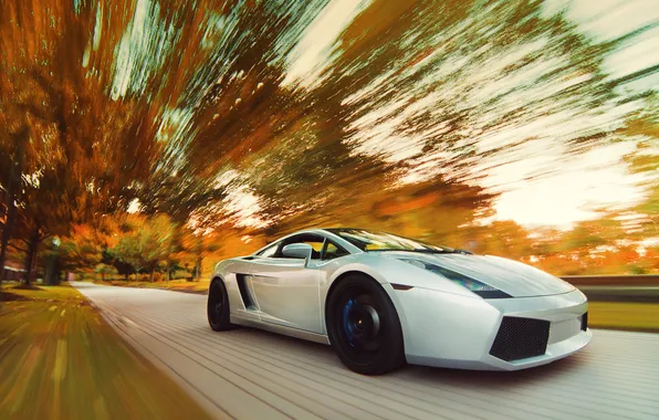 Picture road, autumn, speed, Lamborghini, Gallardo