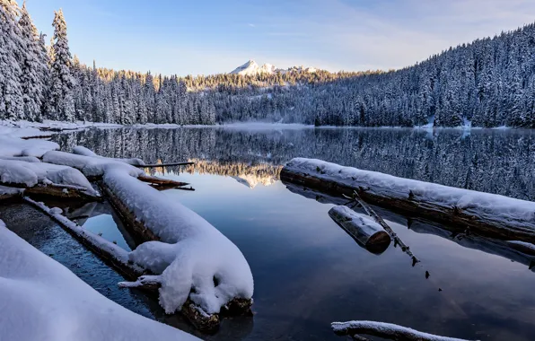 Picture forest, the sky, light, snow, mountains, lake, reflection, shore