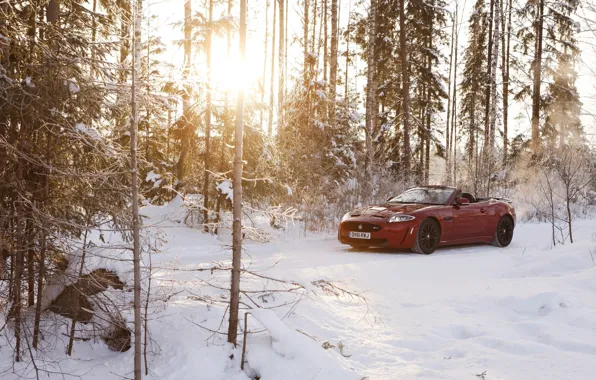 Winter, forest, the sun, snow, red, Jaguar, Jaguar, convertible