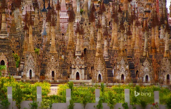 The fence, plant, Myanmar, stupa, Kakku
