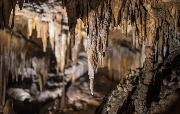Picture VA, stalagmites, stalactites, Lorasia caves