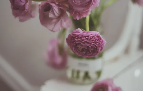 Picture flower, petals, pink