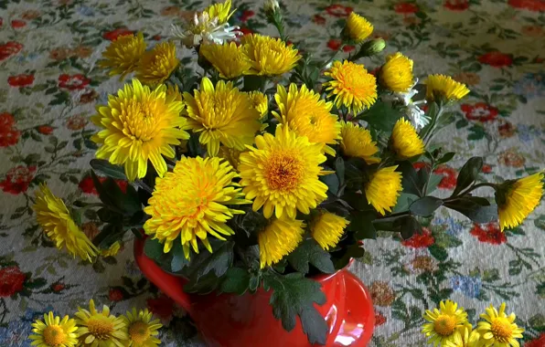 Picture bouquet, yellow, Chrysanthemum