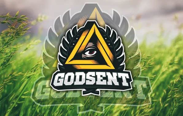 Logo, grass, team, counter-strike, global offensive, meadow, csgo, cs go