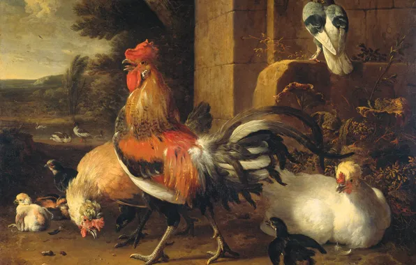 Picture animal, picture, cock, Melchior de Hondekuter, Barnyard