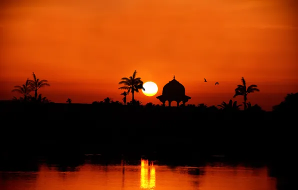 Sunset, river, palm trees, silhouette, Egypt, the Nile River towards Assuan