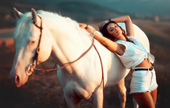 Picture white, look, girl, light, nature, pose, each, horse