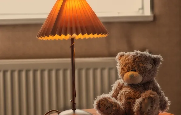 Picture toy, lamp, bear, bear, teddy, Teddy