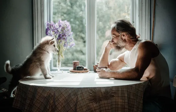 Table, interior, dog, male, the conversation