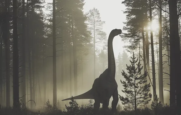 The sun, Fog, Trees, Dawn, Dinosaur, Neck, Animal, Digital art
