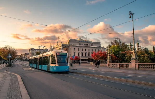 Autumn, street, October, tram, Sweden, Gothenburg