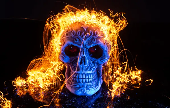 Background, skull, halloween