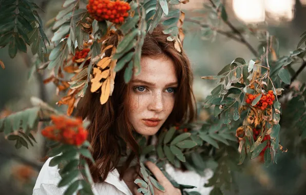 Picture look, leaves, girl, branches, face, berries, portrait, freckles