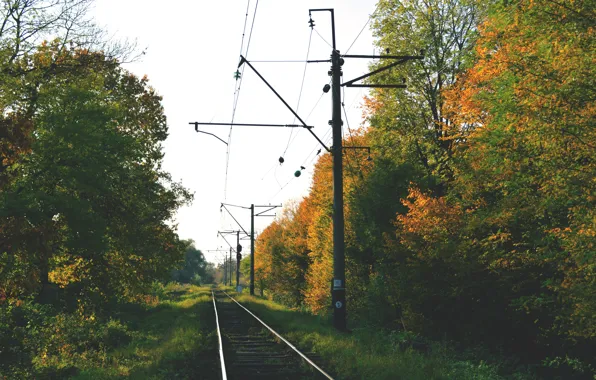 Autumn, trees, nature, Park, track