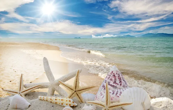 Sand, sea, beach, the sun, stars, shell, summer, sunshine