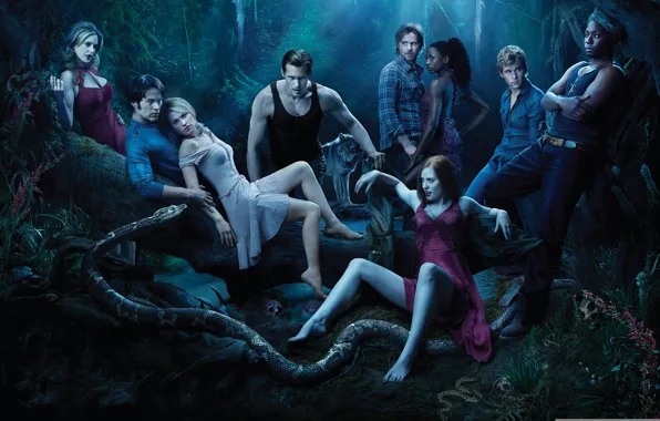 Picture night, people, wolf, snake, vampires, real blood