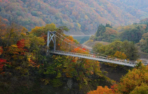 Autumn, forest, trees, mountains, bridge, river, slope