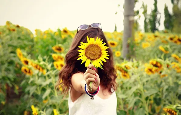 Field, girl, flowers, background, Wallpaper, mood, hair, sunflower
