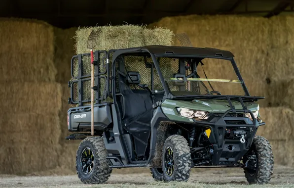 The barn, hay, pitchfork, Can-Am, Traxter Farm 6.1