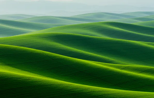 Grass, background, hills, Wallpaper, art, wallpaper, grass, art