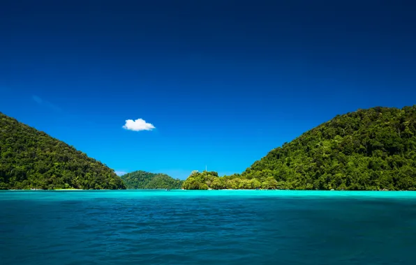 Sea, beach, summer, trees, nature, tropics, stay, summer
