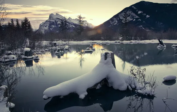 Winter, the sky, water, snow, mountains, driftwood