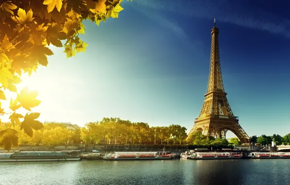Autumn, Paris, Paris, France, autumn, leaves, Eiffel Tower
