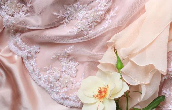Flower, rose, fabric, lace