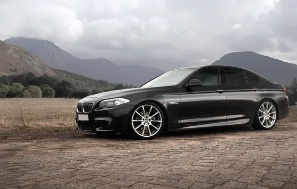 Picture BMW, F10, 5 Series