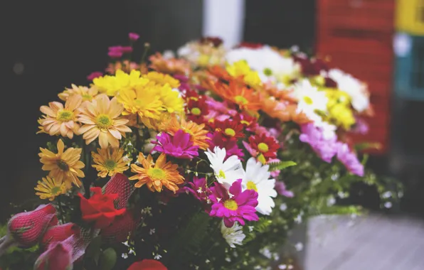 Flowers, bouquet, petals