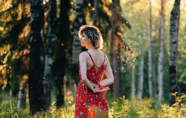 Picture forest, summer, girl, the sun, photo, sundress