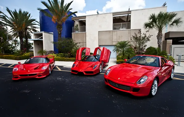 Picture red, palm trees, the building, Ferrari, red, Ferrari, 599, enzo